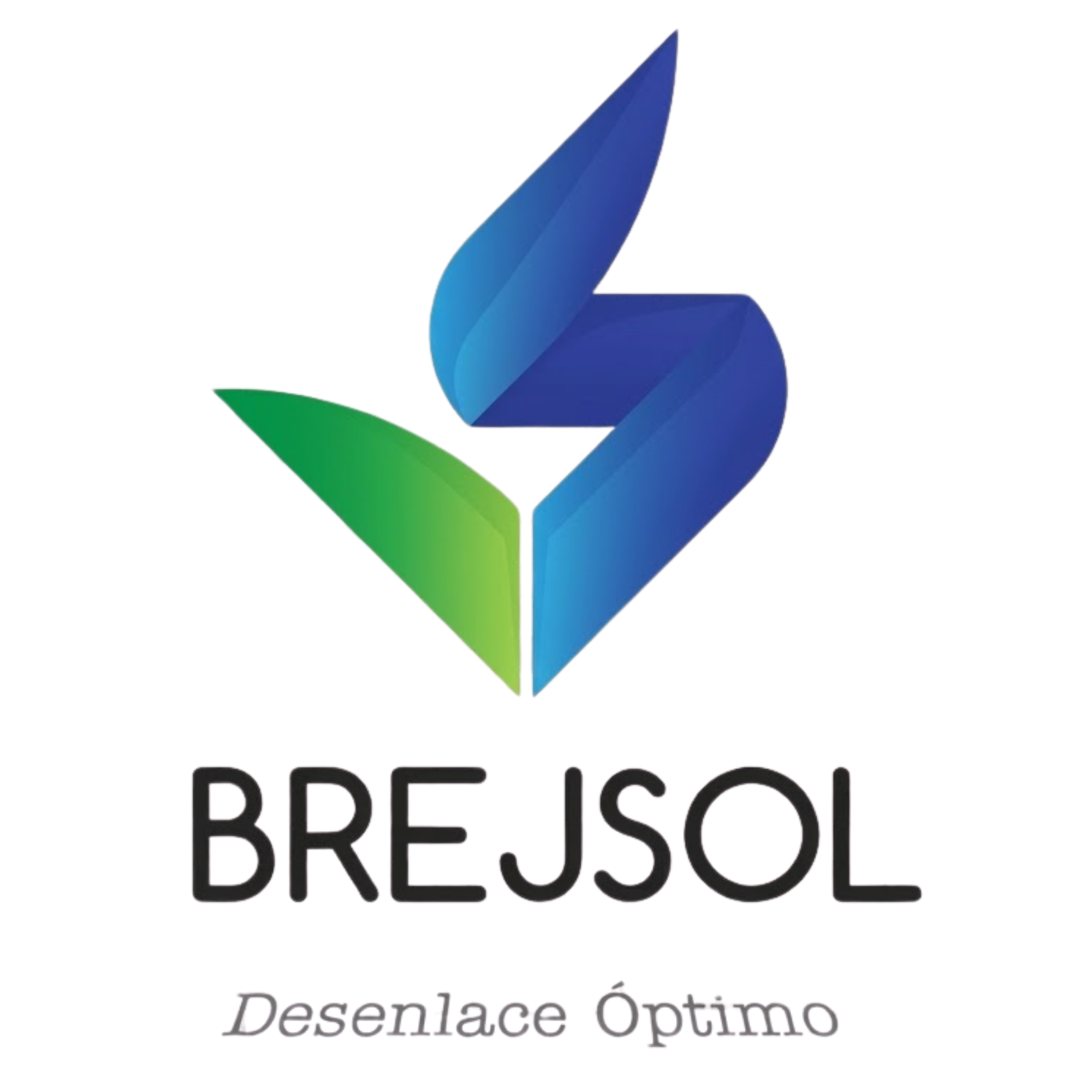 Logotipo Oficial de Brejsol Importaciones